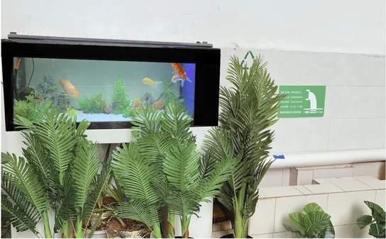 Water quality monitoring aquarium at Primotex facility